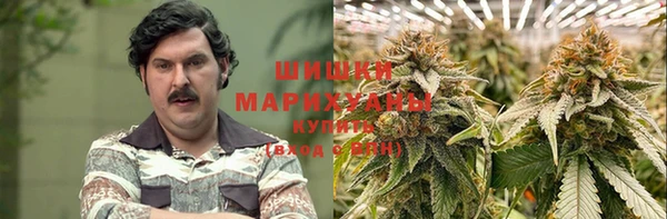 дмт Арсеньев