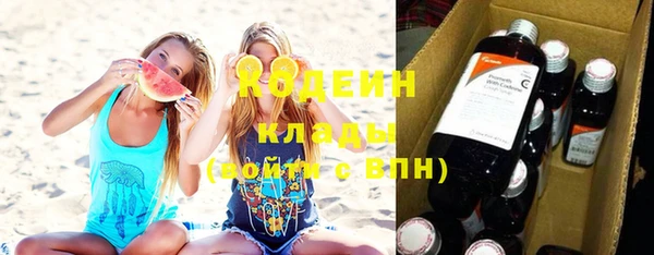 дмт Арсеньев
