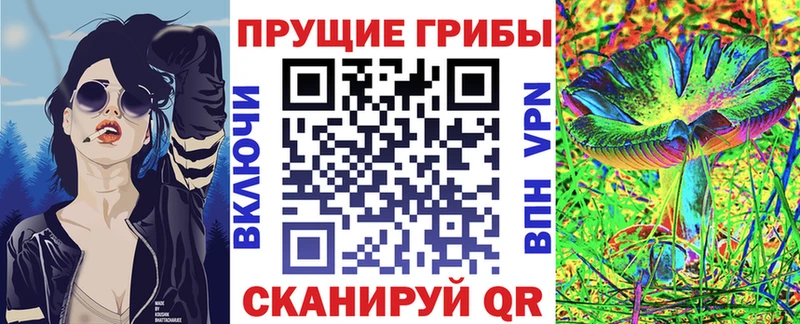 Галлюциногенные грибы Psilocybe Кемь